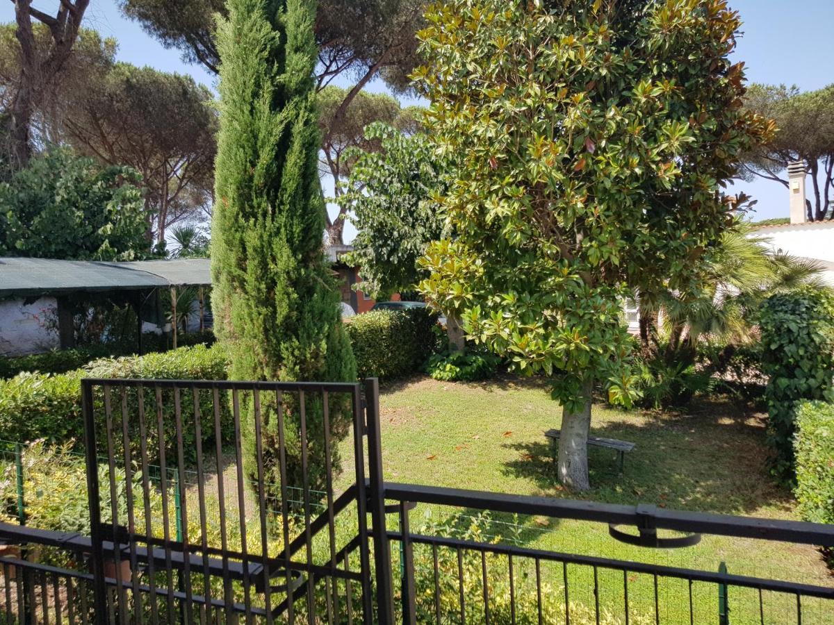 Casa Di Monica E Mauro Villa Рим Екстериор снимка